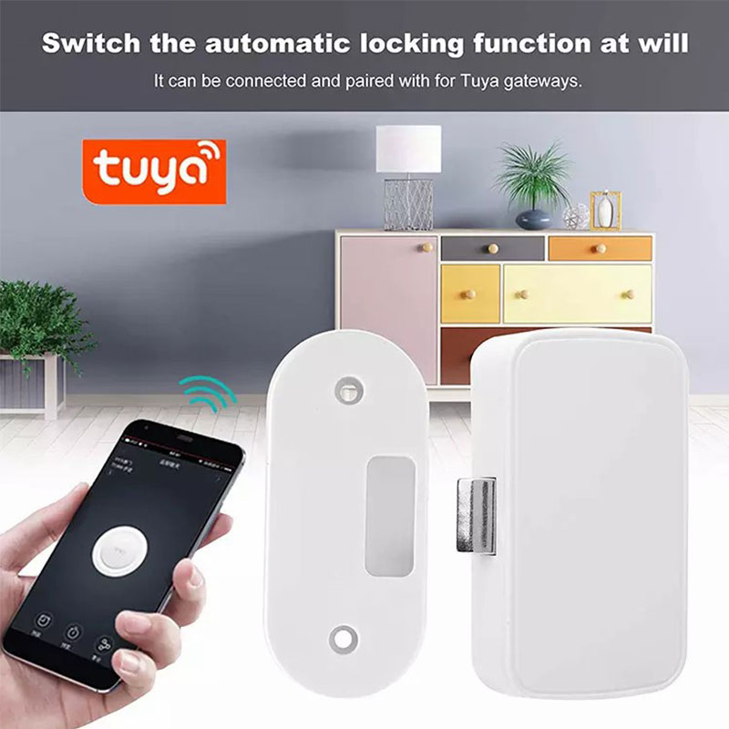 Tuya 스마트 홈 파일 캐비닛 잠금 장치 무선 블루투 - Smart Home Furniture 리뷰 및 가격