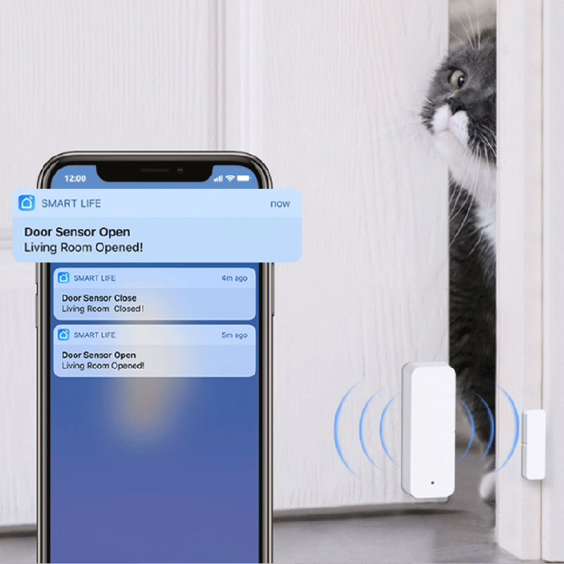 Tuya WiFi Zigbee 도어 윈도우 센서 스마트 - Smart Home Life 리뷰 및 가격