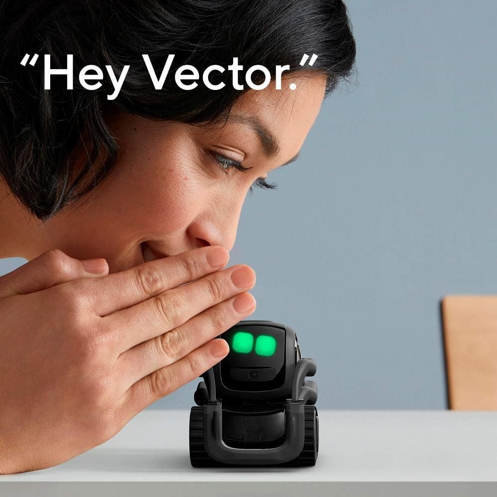 AI ChatGPT 2.0 연결형 로봇 동반자, 얼굴  - Smart Home Remote Control 리뷰 및 가격